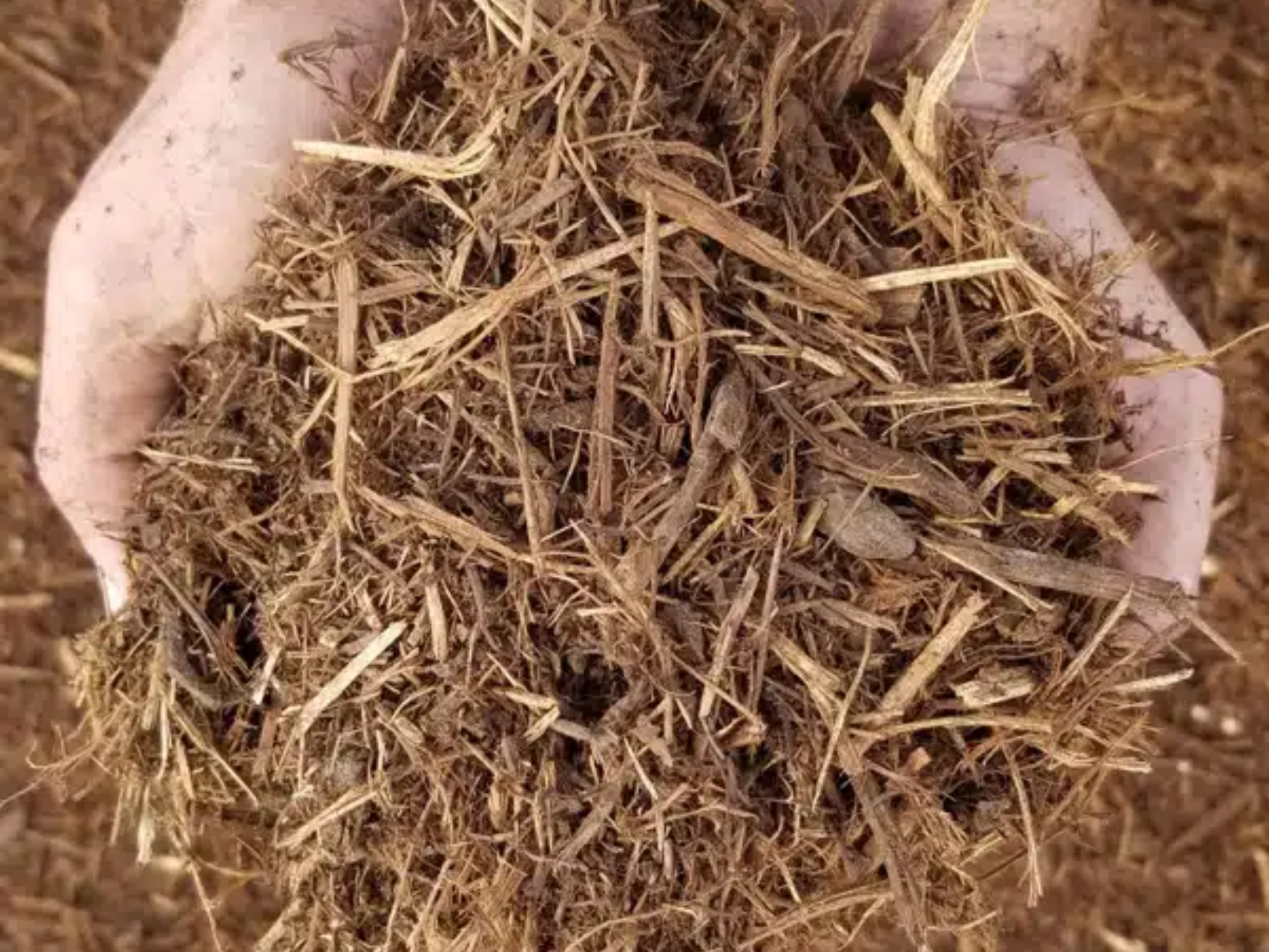Native Hardwood Mulch | San Antonio Mulch Delivery